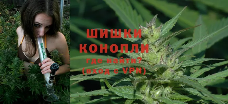 Бошки марихуана LSD WEED  Чкаловск 